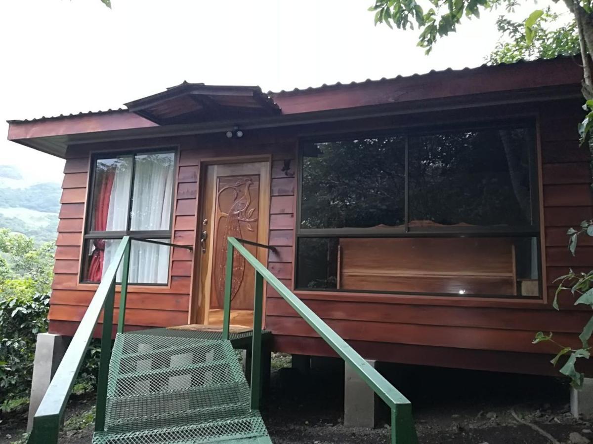 Rancho De Lelo Ecolodge Monteverde Ngoại thất bức ảnh