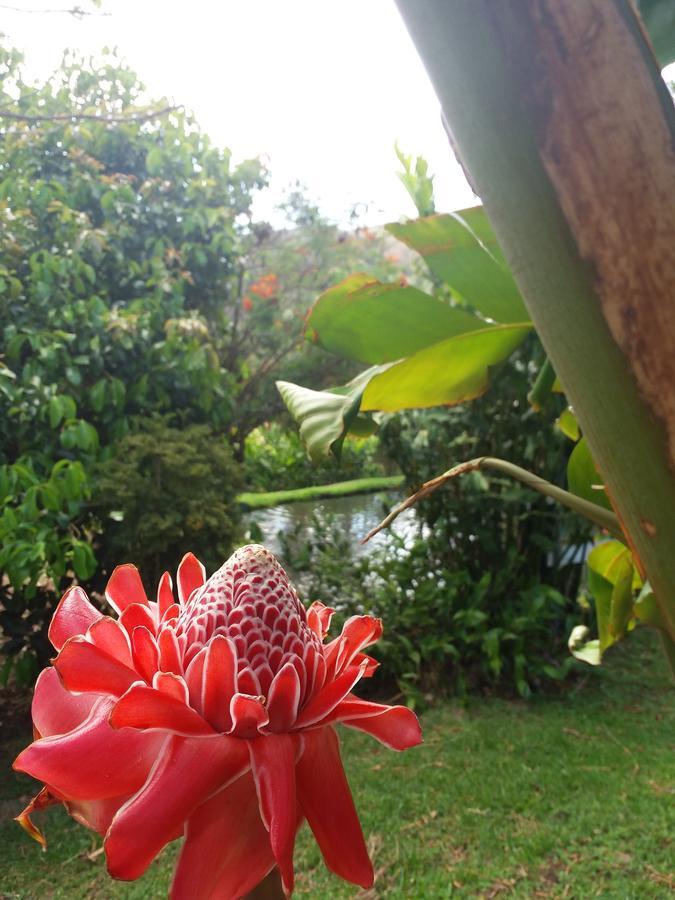 Rancho De Lelo Ecolodge Monteverde Ngoại thất bức ảnh