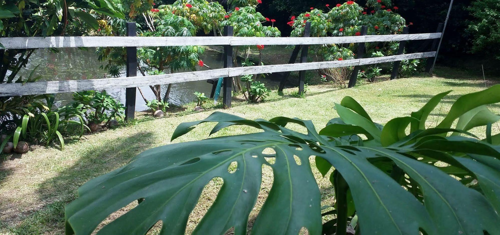 Rancho De Lelo Ecolodge Monteverde Ngoại thất bức ảnh
