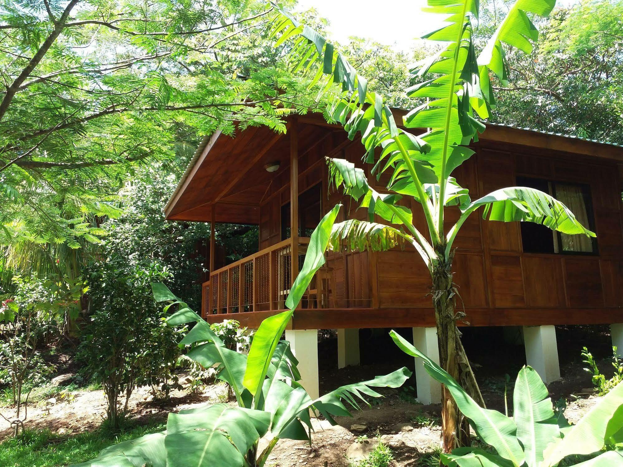 Rancho De Lelo Ecolodge Monteverde Ngoại thất bức ảnh