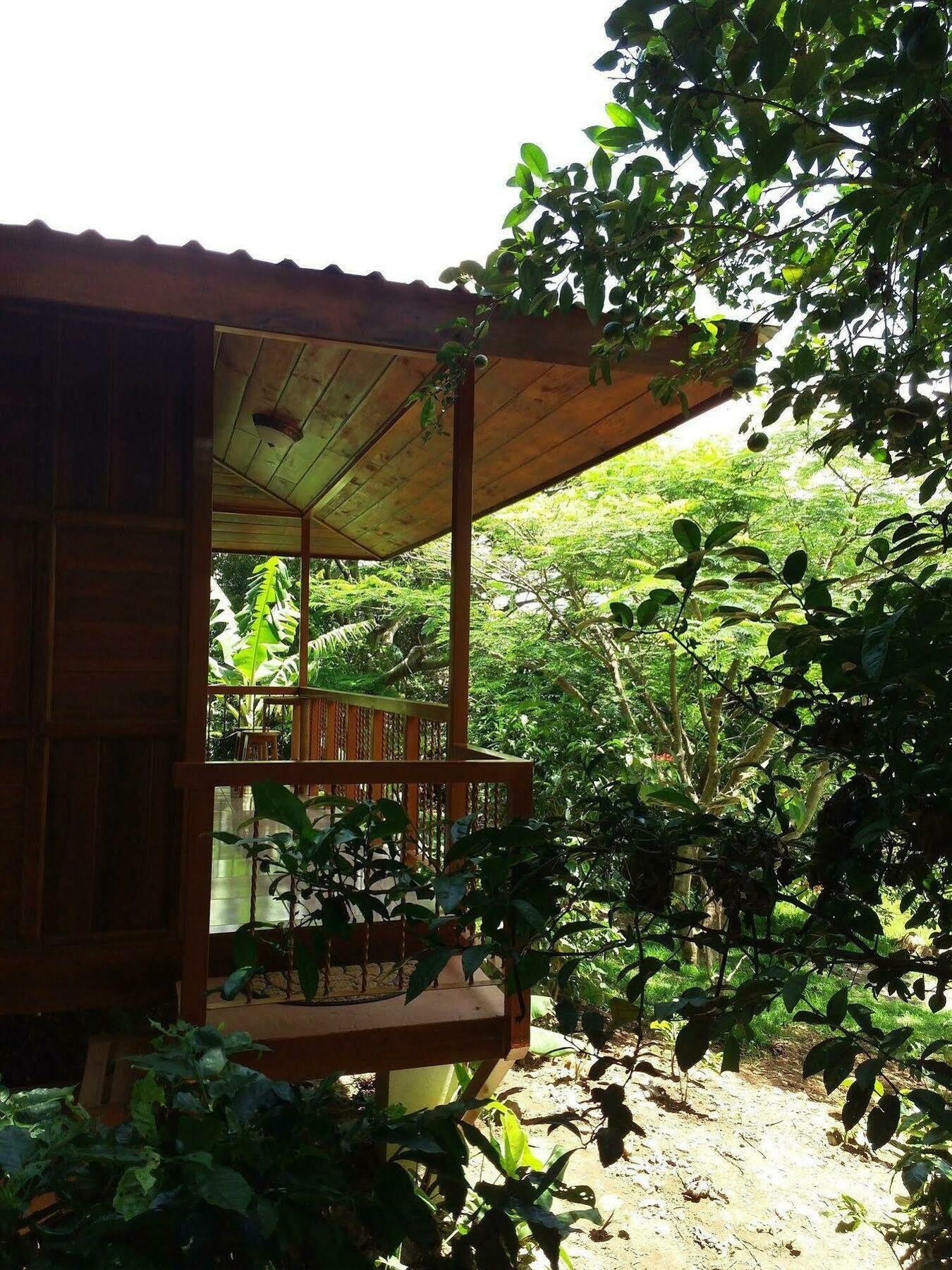 Rancho De Lelo Ecolodge Monteverde Ngoại thất bức ảnh