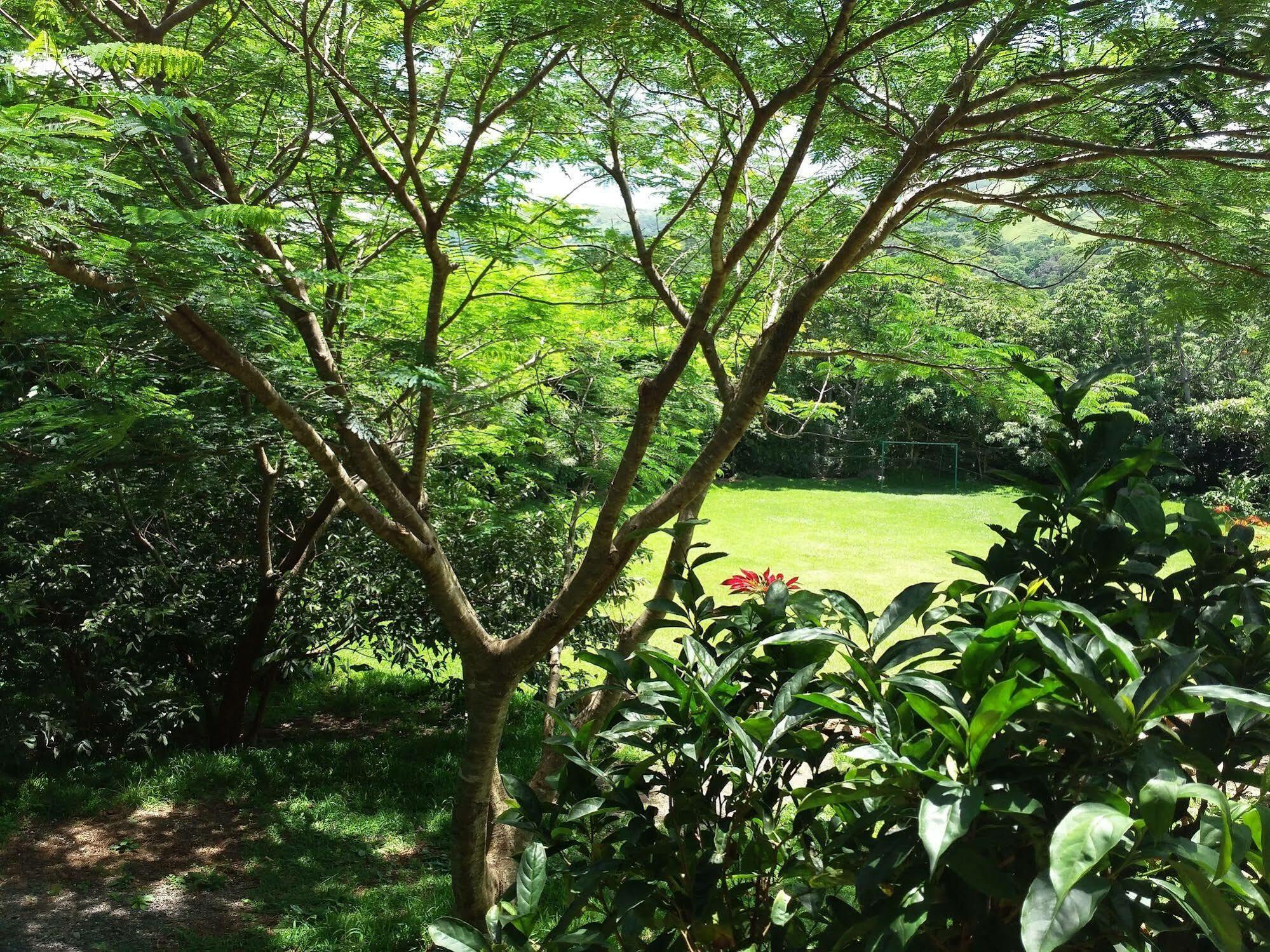 Rancho De Lelo Ecolodge Monteverde Ngoại thất bức ảnh