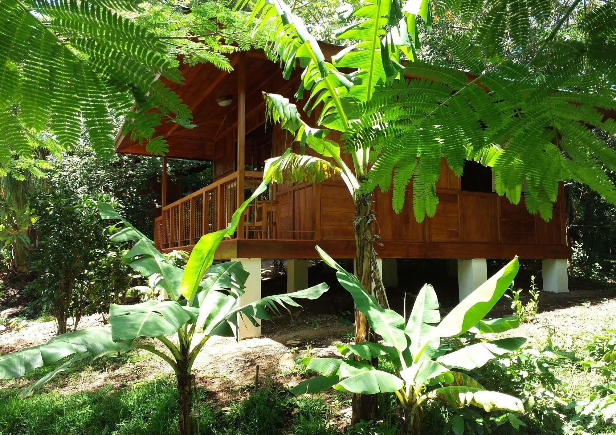 Rancho De Lelo Ecolodge Monteverde Ngoại thất bức ảnh